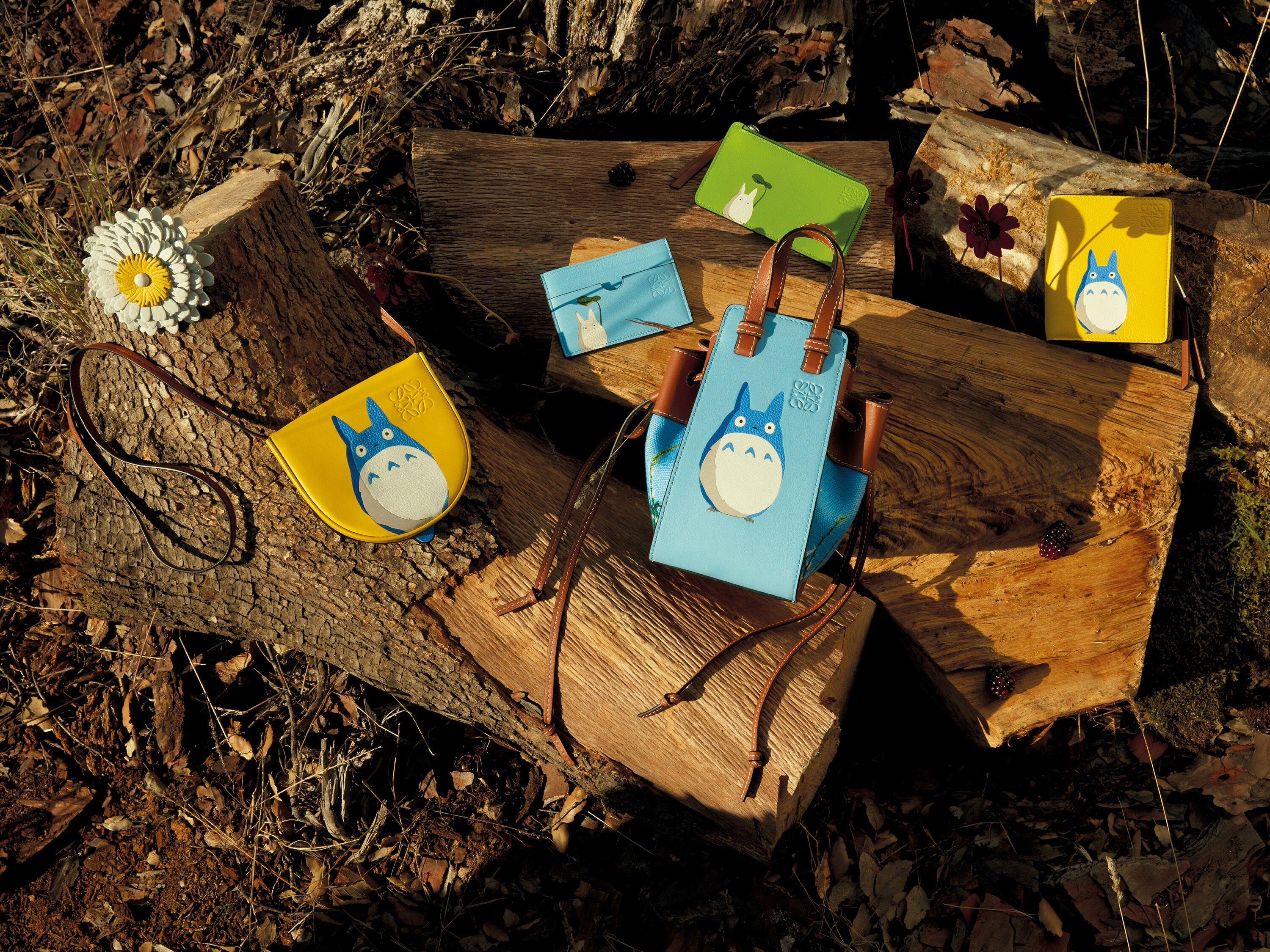 Loewe bag deals totoro